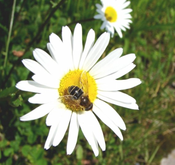 11391-f3snb3pq.jpg, 188 KB